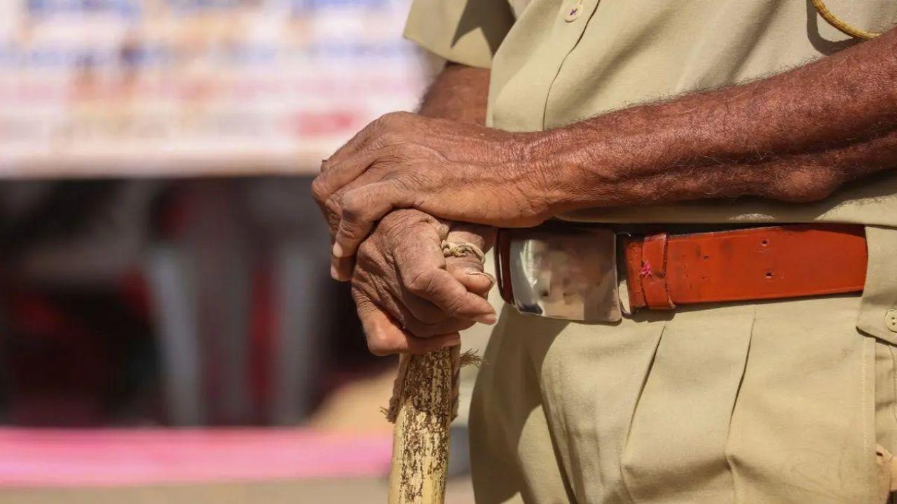 Delhi: 225 kg firecrackers seized in Badarpur, 1 held